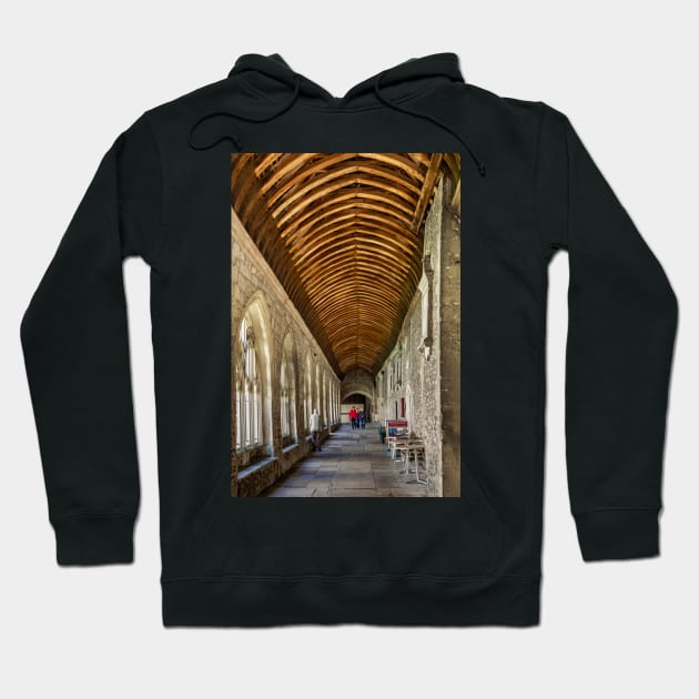 Cloister Hoodie by jasminewang